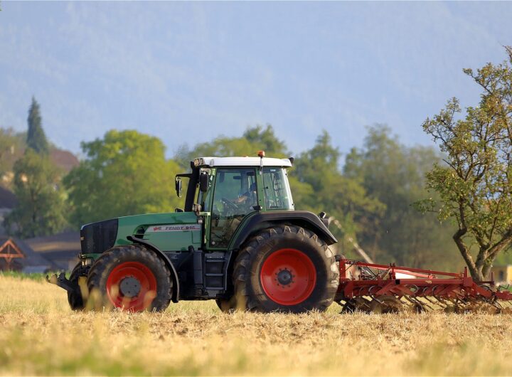 Prețurile cerealelor din UE vor scădea din cauza cererii mai mici de furaje