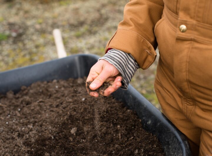 Agricultura regenerativă