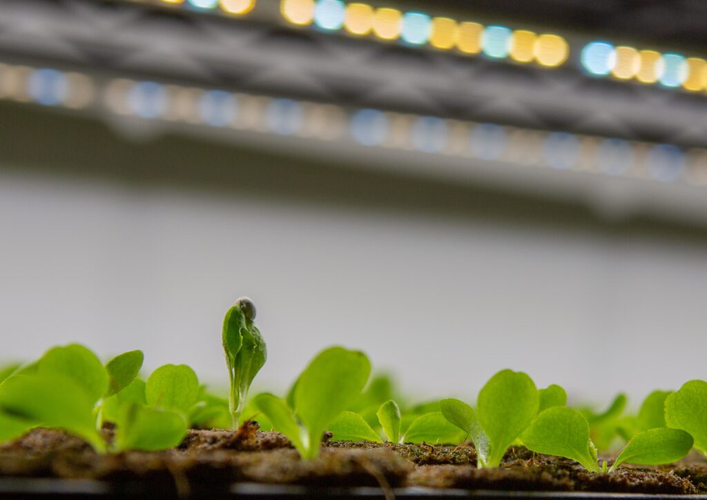 Vertical farming