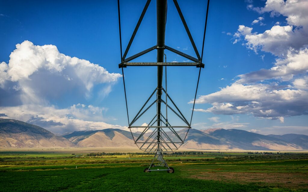 Antreprenorii agricoli români