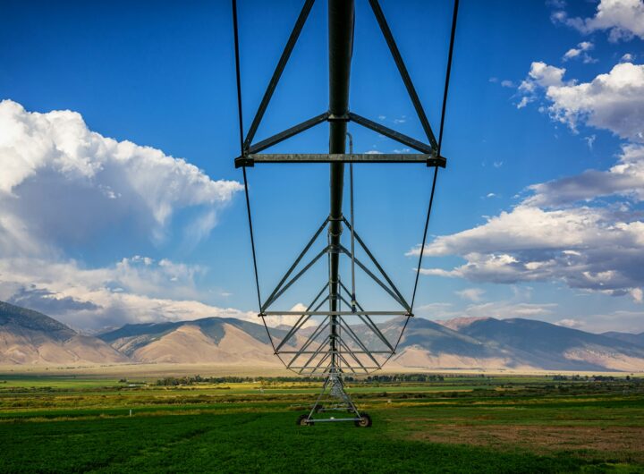 Antreprenorii agricoli români