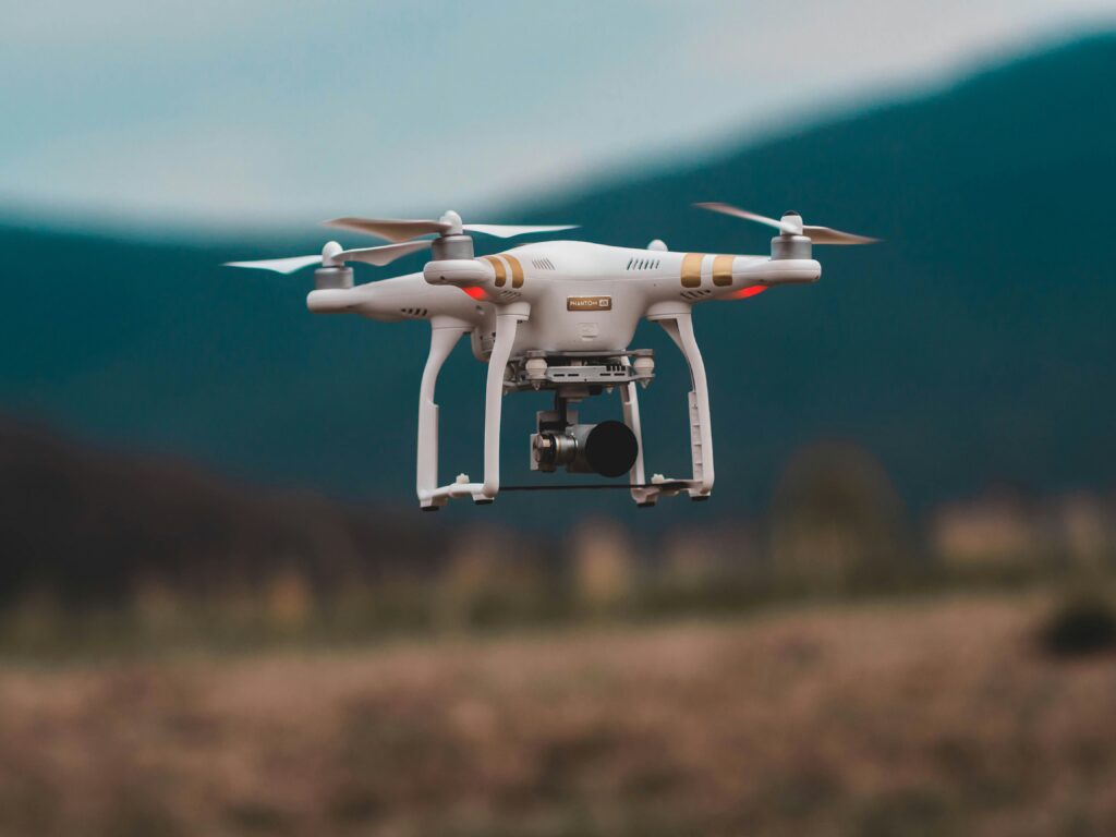 Dronelor