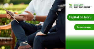 Business Microcredit