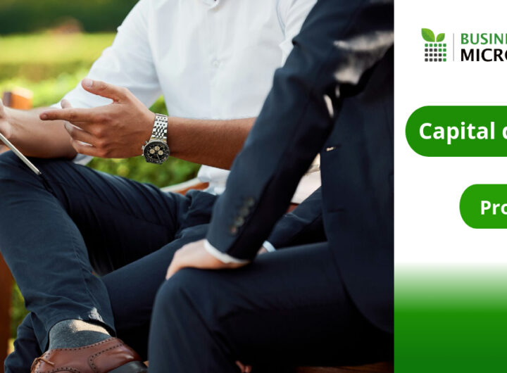 Business Microcredit