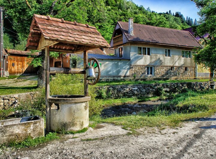 țărănești