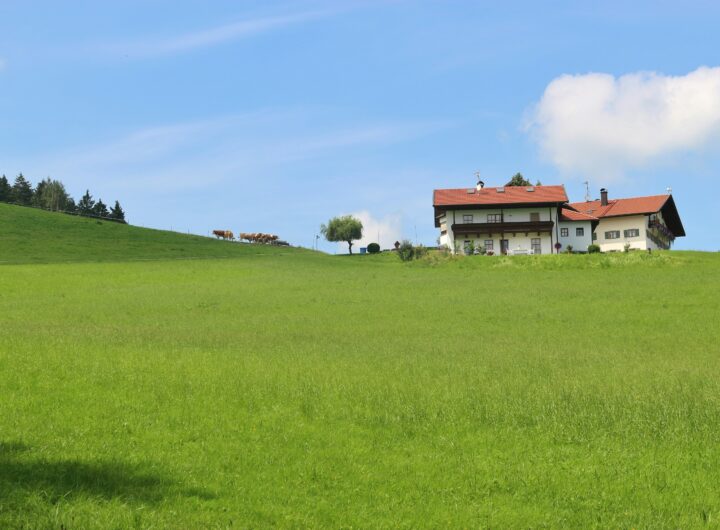 agricole