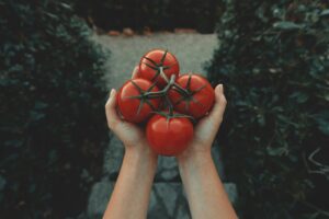 micii agricultori