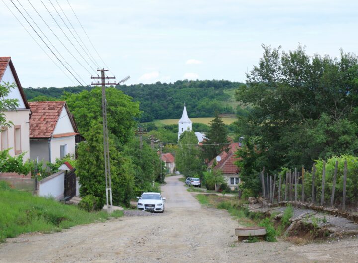 sat