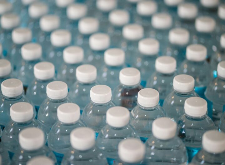 plasticului