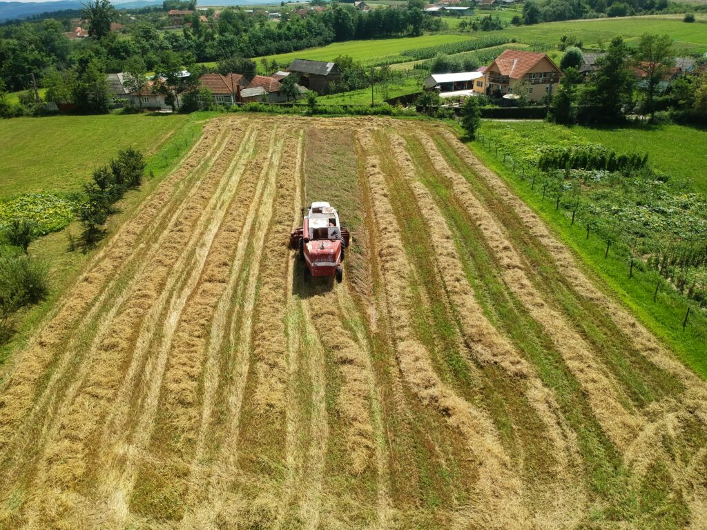 regenerativă