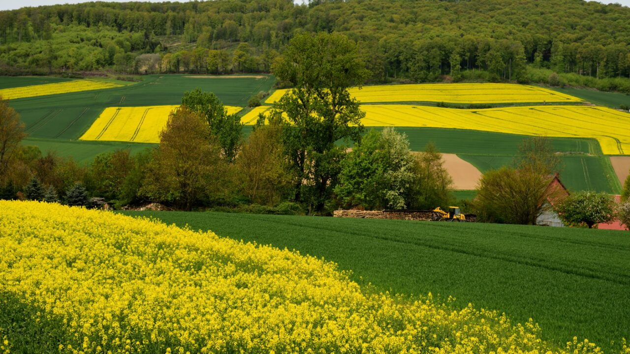 agricultura