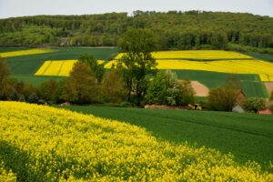 agricultura
