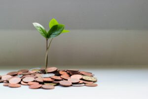 investitor