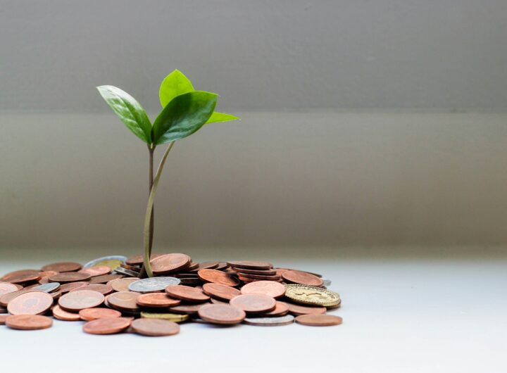 investitor