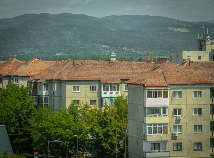 vechi